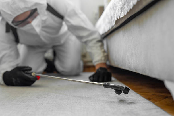 Professional Termite Control technician working in Streator, IL