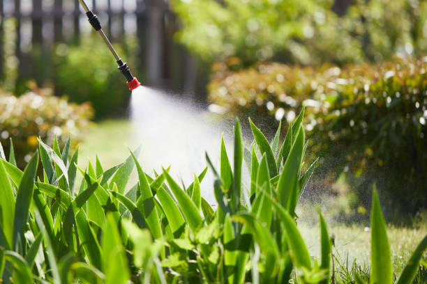 24/7 Emergency Termite Control experts in Streator, IL