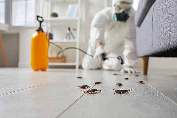 Trusted Cockroach Control service in Streator, IL - Nex Pest Control